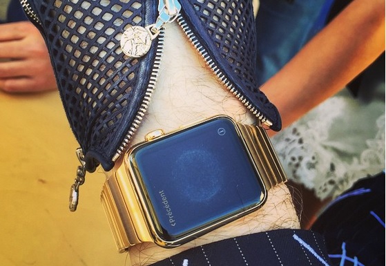 Apple Watch Lagerfeld Apple Watch Lagerfeld