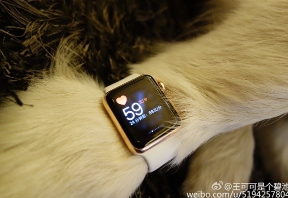 Apple Watch Edition Hund Detail