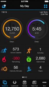 Garmin Connect App Mein Tag