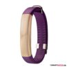 Flat Strap,Lila/Gold (wm) Flat Strap,Lila/Gold (wm)