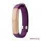 Flat Strap,Lila/Gold (wm) Flat Strap,Lila/Gold (wm)