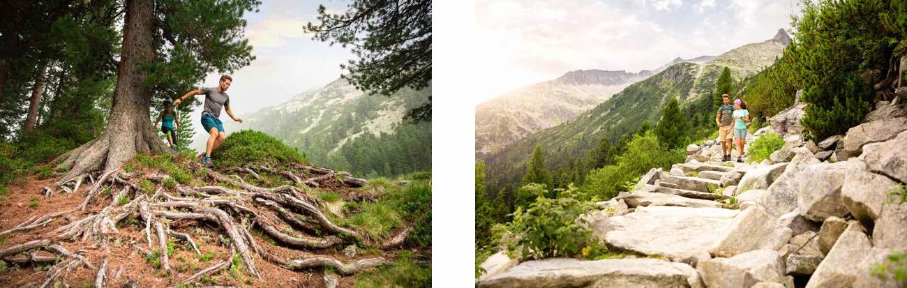 Fitbit Surge Lifestyle Running Tomtom Adventurer Wandern im Wald