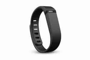 Fitbit Flex