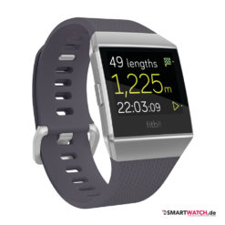 Fitbit Ionic Silikon - Blaugrau/Silbergrau