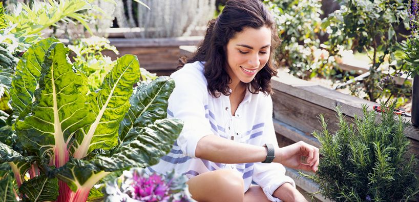 Fitbit Charge 3 Fitness Armband_5