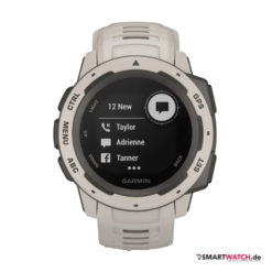 Garmin Instinct - Hellgrau/Schiefergrau