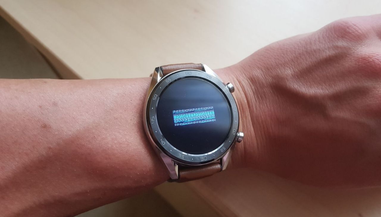 Huawei Watch GT Smartwatch Test