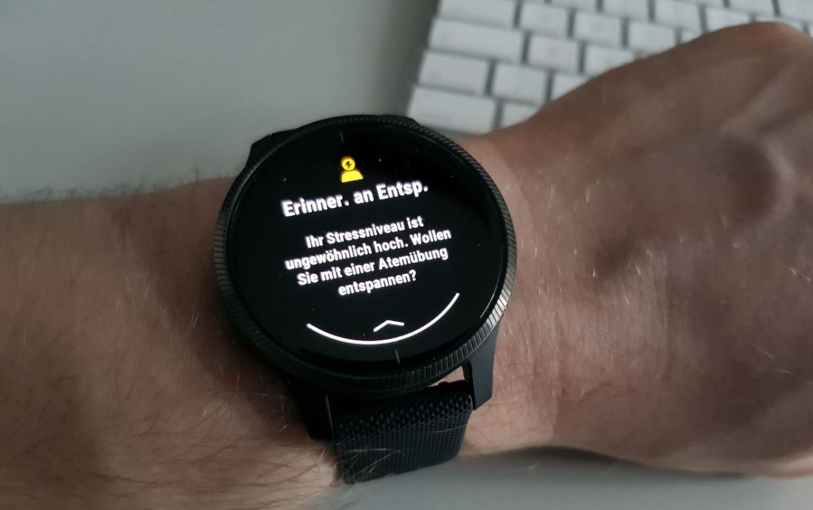 garmin venu fitness uhr test stresslevel