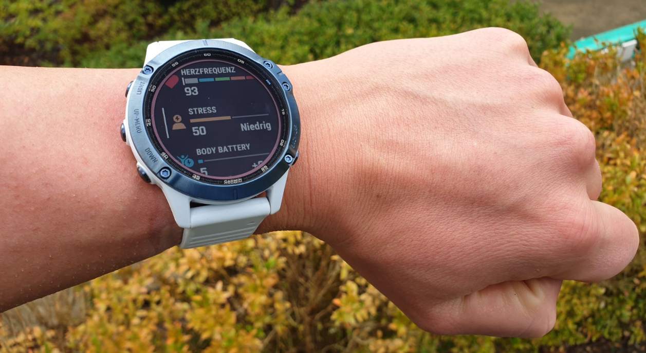 garmin fenix 6 fitness uhr test parameter garmin fenix 6 fitness uhr test parameter