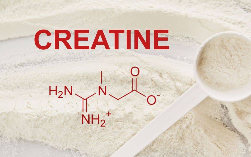 Trainingsdaten und Supplemente: Warum Creatin im datenbasierten Krafttraining eine neue Rolle spielt